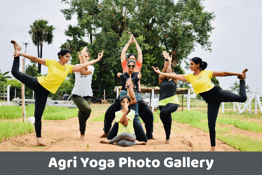 Yoga institute in chennai fees