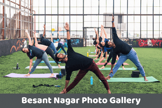 Top yoga institute in chennai